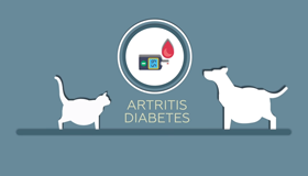 Control del peso corporal